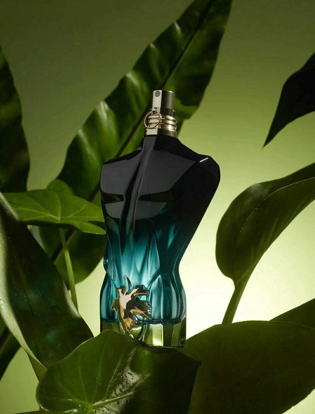 Jean Paul Gaultier Le Beau Le Parfum
